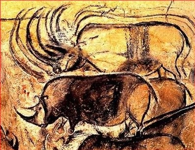 Chauvet Cave, rhinoceroses